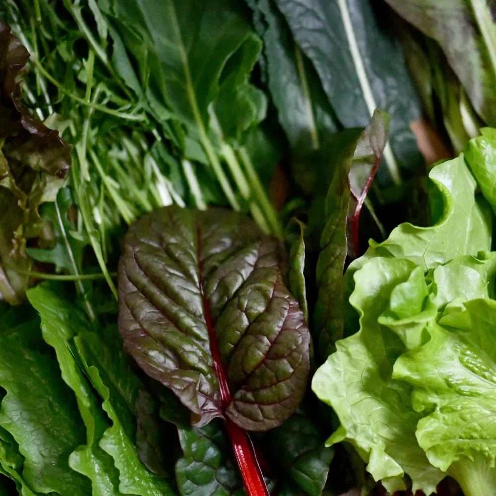  spinach, kale and other green leafy vegetables